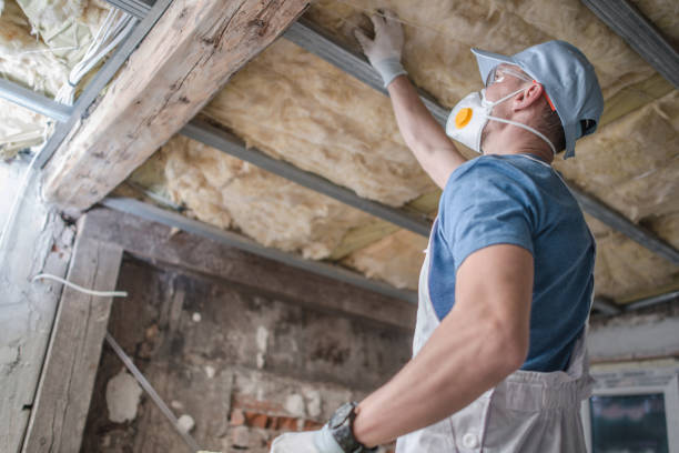 Best Insulation Installation Services in Archie, MO