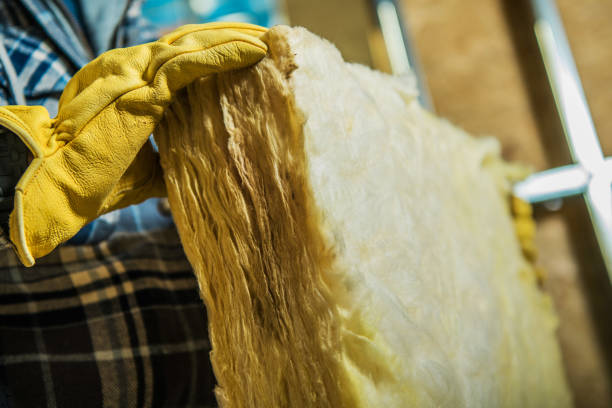 Professional Insulation Contractor in MO